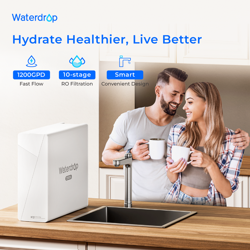 Waterdrop X12-Basic Reverse Osmosis System (WD-X12-WCS-F1A)