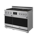 Stainless steel dual fuel range angled view with cooktop and door handles