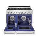 Thor Kitchen 48-Inch Professional Liquid Propane Gas Range with 7.6 Cu. Ft. Oven and 6 Cooktop Burners in Stainless Steel (XRG48ELP)