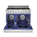 Thor Kitchen 48-Inch Professional Natural Gas Range with 7.6 Cu. Ft. Oven and 6 Cooktop Burners in Stainless Steel (XRG48E)