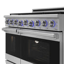 Thor Kitchen 48-Inch Professional Natural Gas Range with 7.6 Cu. Ft. Oven and 6 Cooktop Burners in Stainless Steel (XRG48E)