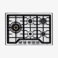 ROBAM G-Series 30-Inch Dual Fuel Cooktop with 5 Burners in Stainless Steel (G513)