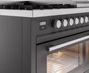 ILVE 48-Inch Professional Plus II Freestanding Propane Gas Dual Fuel Range with 8 Sealed Burner in Matte Graphite (UP48FWMPMGLP)