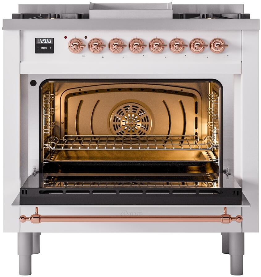 White freestanding dual fuel range with open oven door and lit interior