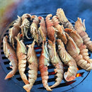 Arteflame Grill Grate (18”Ø) For 40" Arteflame Grills (AF40GG)