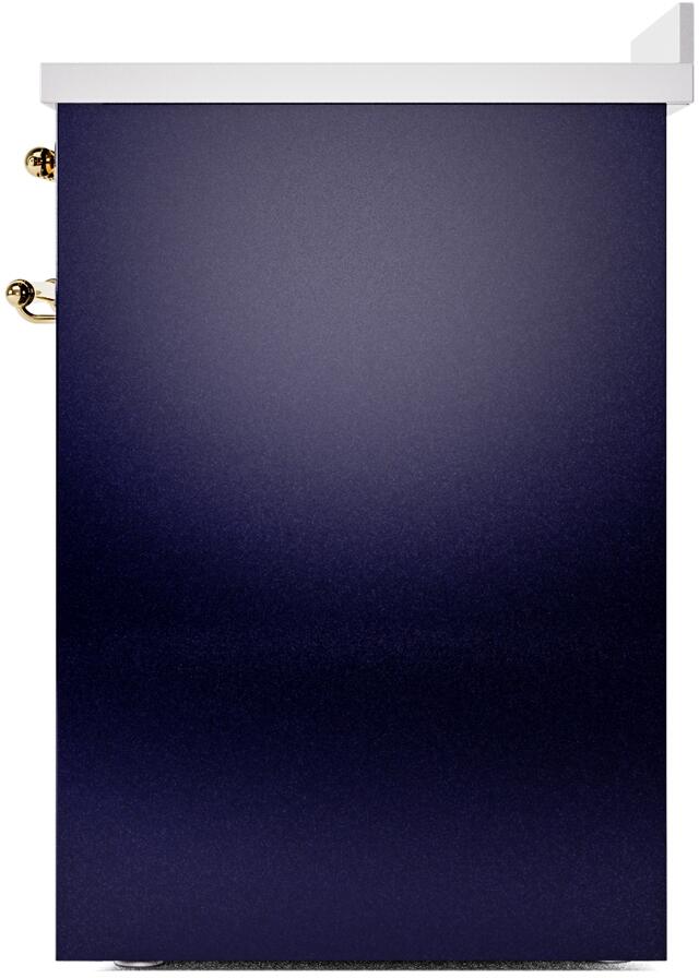 Midnight blue freestanding electric induction range side view with brass mounting details