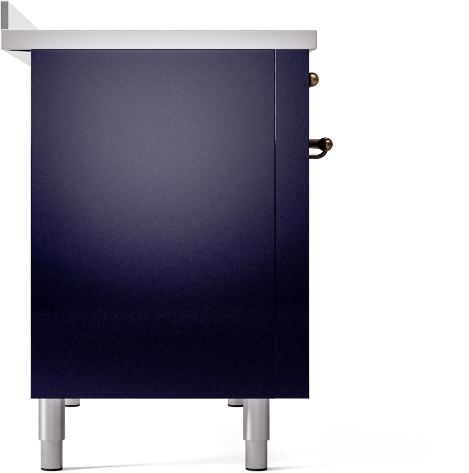 Midnight blue freestanding electric induction range side panel with bronze accents.