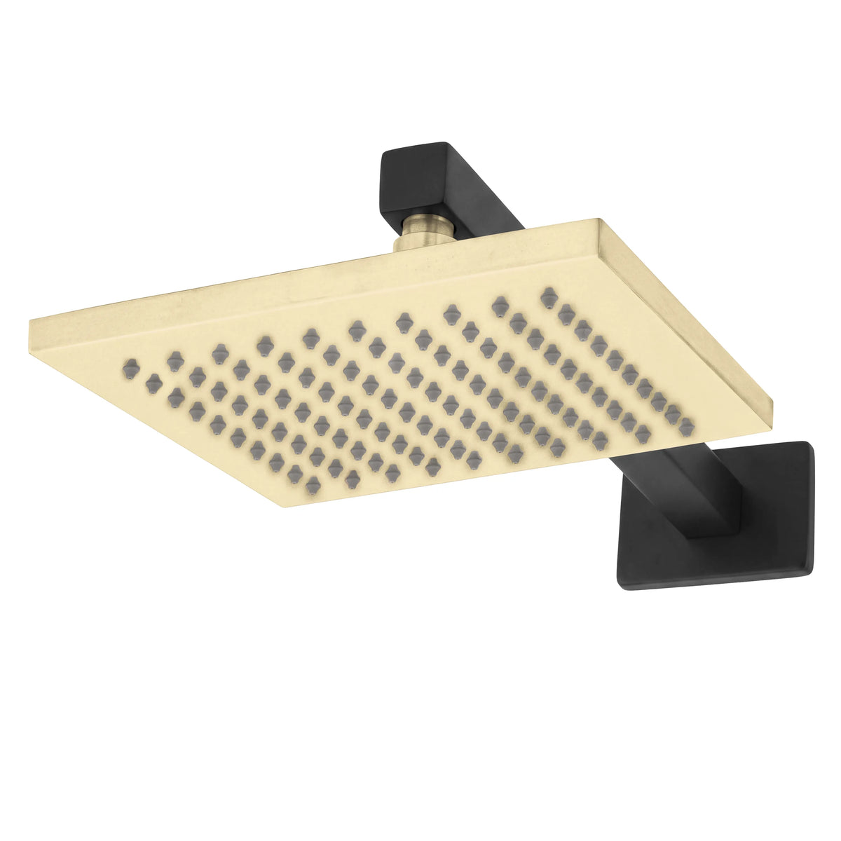 ZLINE Bliss Shower System BLS-SHS-ZMBCB shower head detail