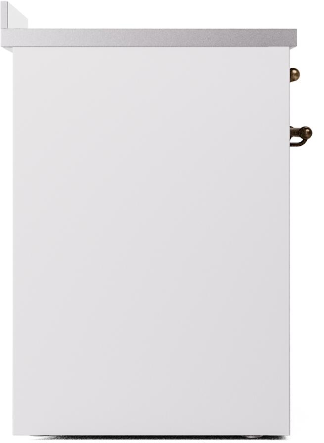 White back panel of freestanding induction range with mounting brackets and hinge hardware