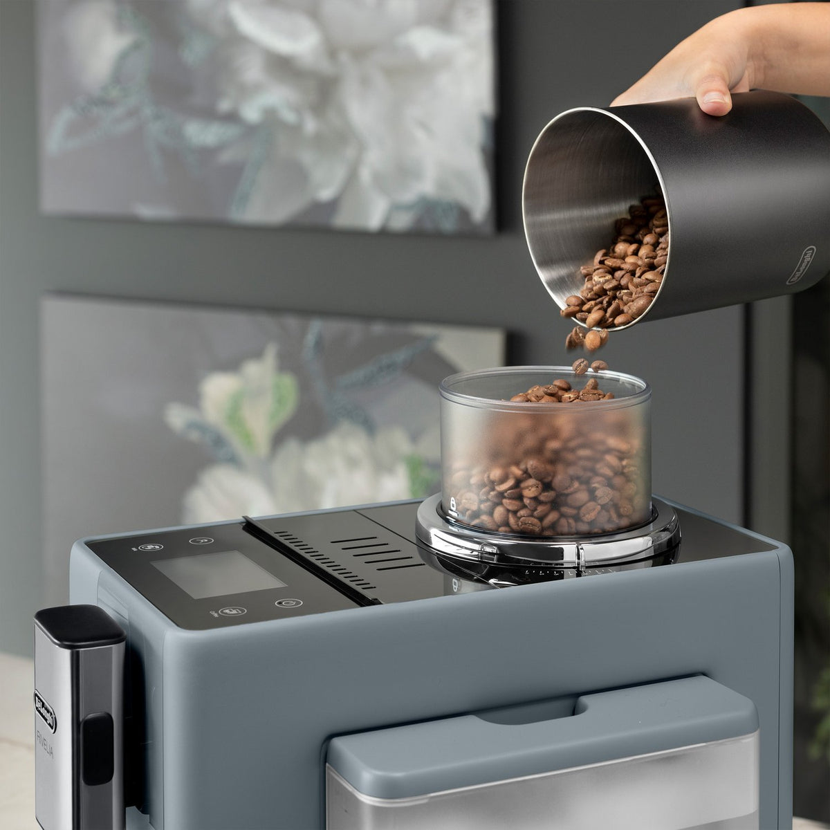 Metal container pouring coffee beans into top hopper on pebble gray espresso machine