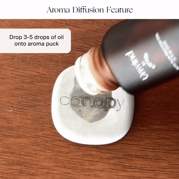 Canopy Portable Humidifier USB-Powered Aroma Diffuser
