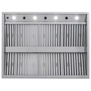 Blaze 36-Inch Outdoor Vent Hoods (BLZ-36-VHOOD2)