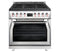 Forza 36-Inch Professional Dual Fuel Range in Stainless Steel (FR366DF)