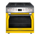 Forza 36-Inch Professional Dual Fuel Range in Valoroso White (FR366DF-W)