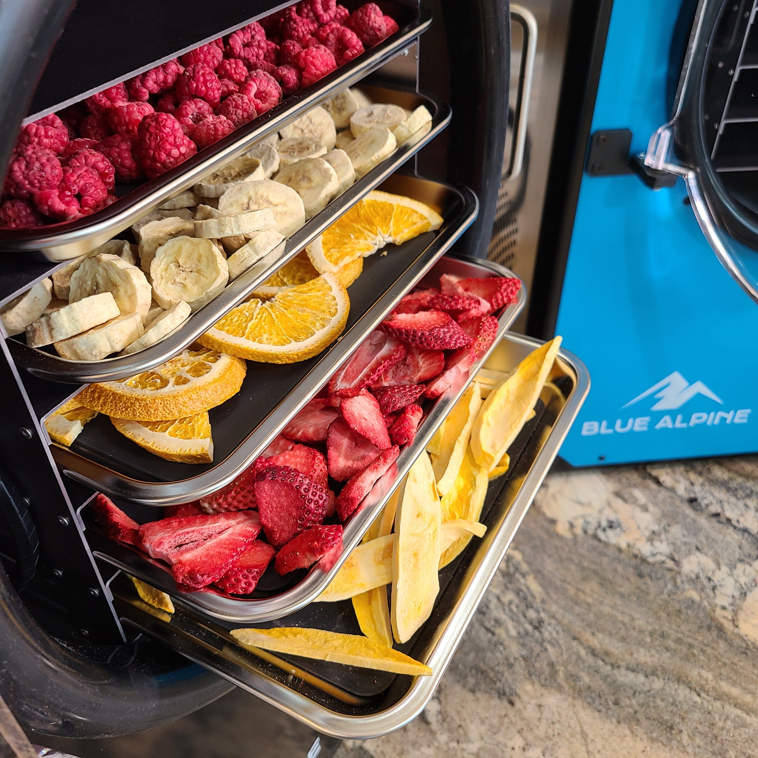 Freeze dryer interior with stainless trays of raspberries, strawberries, and orange slices.