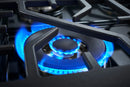 Forza 36-inch Professional All Gas Range Special Edition in Stainless Steel (FR366SE)