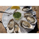 Perlick 15-Inch Signature Series Cubelet Ice Maker in Stainless Steel Door, Left Hinge, R290 (HP15CU-L)