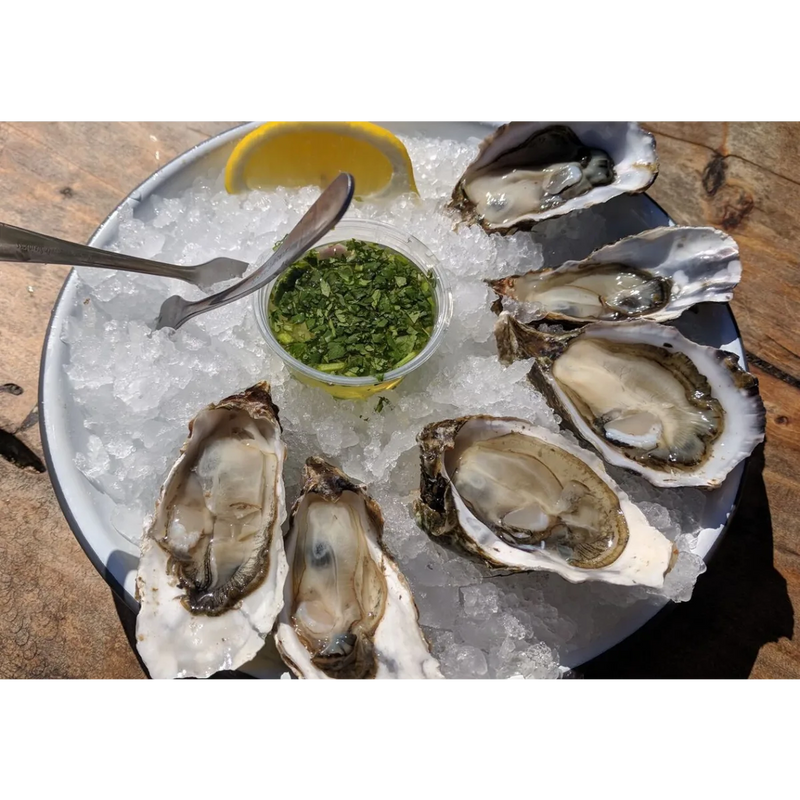 Perlick 15-Inch ADA-Compliant Cubelet Ice Maker in Stainless Steel Door, Right Hinge, R290 (HA15CU-R)