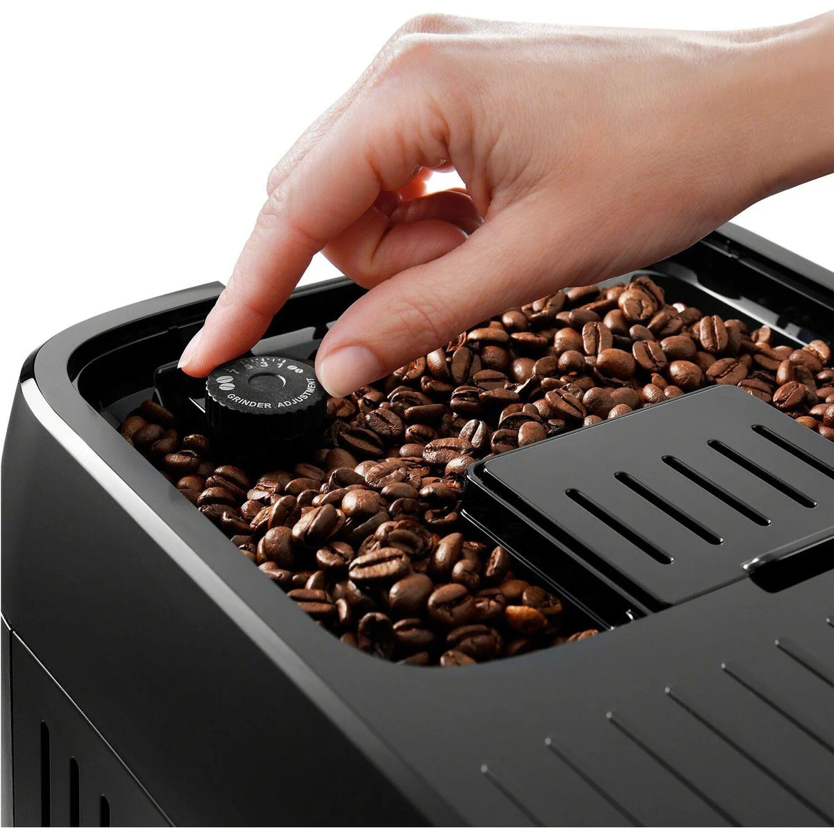 Close-up of roasted coffee beans in the hopper with a dial control
