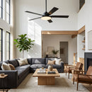 Parrot Uncle Vaczon 52-Inch Double-sided Blades Modern Ceiling Fan with Remote Control and LED Light