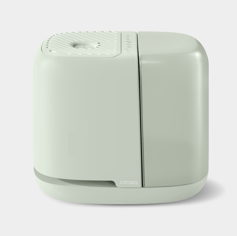 Canopy Bedside Compact Humidifier 2.0 Aroma Diffuser with UV Light and White Noise