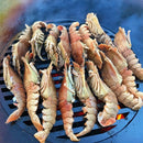 Arteflame Grill Grate (10”Ø) For 20" Arteflame Grills (AF20GG)