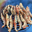 Arteflame Grill Grate (14”Ø)For 30" (AF30GG)