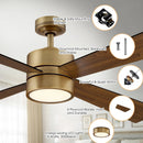 Parrot Uncle 52-Inch Bucholz Industrial Ceiling Fan with Dimmable LED Light