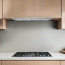 Victory 21-Inch 600 CFM Insert Range Hood with 4-Speed Push Button in Stainless Steel, Bright LED Lights, Auto-Shutoff Timer (Q6-21)