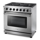 Stainless steel gas range with cooktop burners and closed oven door window