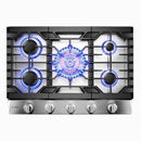 Fotile Tri-Ring Gas Cooktop in Stainless Steel (GLS30501 / GLS36502)