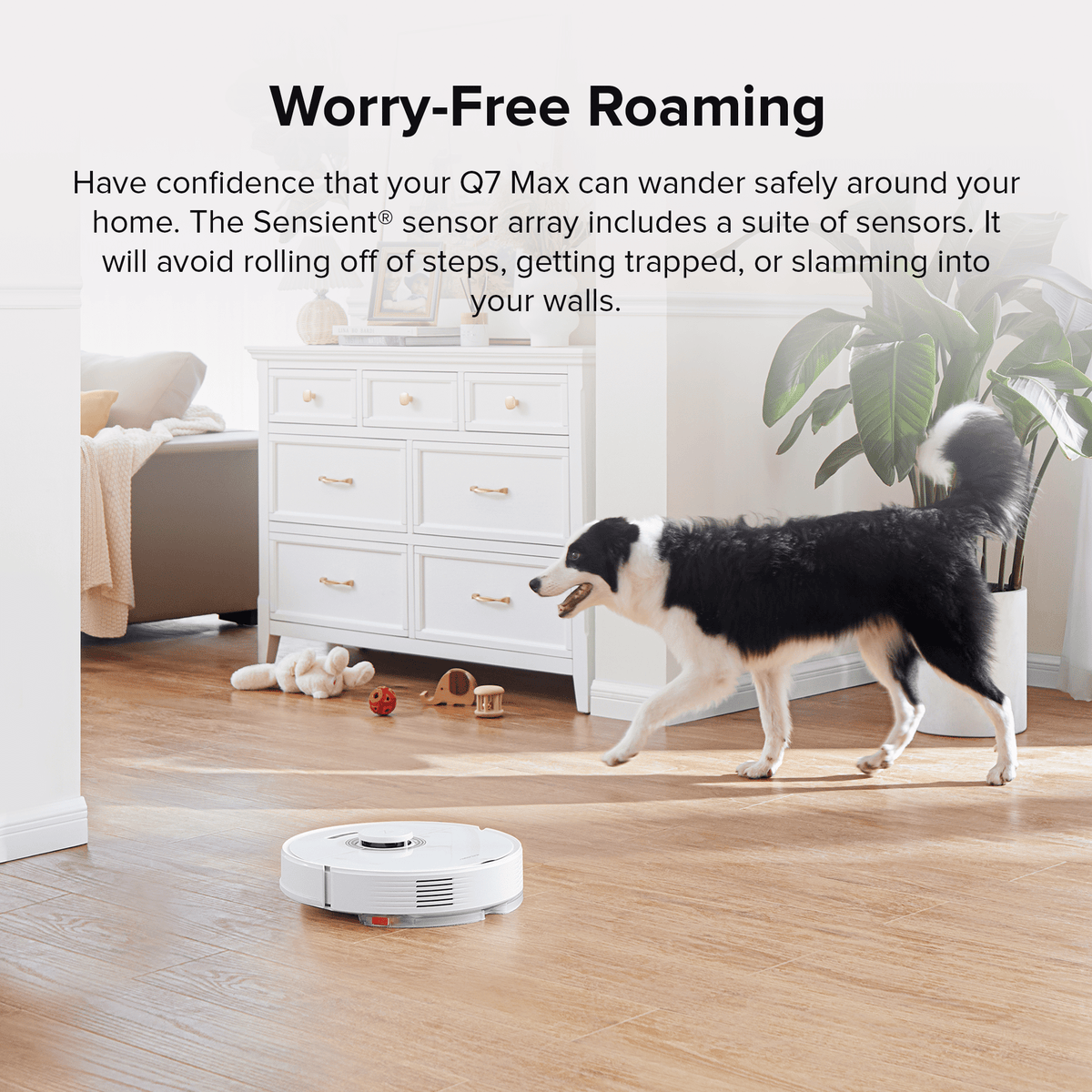 Robot vacuum and mop navigating on wood floor with a pet dog nearby