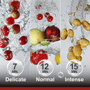 Fotile 3-IN-1 In-Sink Dishwasher (SD2F-P5 / SD2F-P5L)