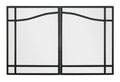 Dimplex Glass Swing Door Kit 39-Inch for BF39STP Firebox (BFSDOOR39BLK)