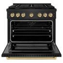 ZLINE 3-Piece Appliance Package - 36-Inch Paramount Dual Fuel Range, 36-Inch French Door Refrigerator with Water Dispenser, Dishwasher, in Black Stainless Steel with Champagne Bronze Accents