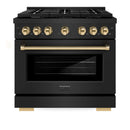 ZLINE 3-Piece Appliance Package - 36-Inch Paramount Dual Fuel Range, 36-Inch French Door Refrigerator with Water Dispenser, Dishwasher, in Black Stainless Steel with Gold Accents