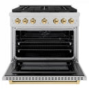 ZLINE Autograph Edition 36-Inch 5.2 cu. ft. Paramount Dual Fuel Range with 6 Burner Gas Cooktop and Electric Convection Oven in Satin Stainless Steel with Polished Gold Accents (SDRSZ-36-G)