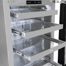 ZLINE Autograph Edition 24-Inch Touchstone 151 Can Indoor/Outdoor Beverage Fridge With Solid Stainless Steel Door And Polished Gold Handle (RBSOZ-ST-24-G)