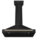 ZLINE 5-Piece Appliance Package - 36-Inch Dual Fuel Range, Hood, Refrigerator with Water Dispenser, Dishwasher, and Microwave Drawer in Black Stainless Steel with Gold Accents