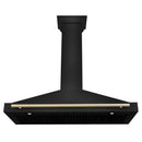 ZLINE 4-Piece Appliance Package - 48-Inch Gas Range, Hood, Refrigerator, and Dishwasher in Black Stainless Steel with Gold Accents
