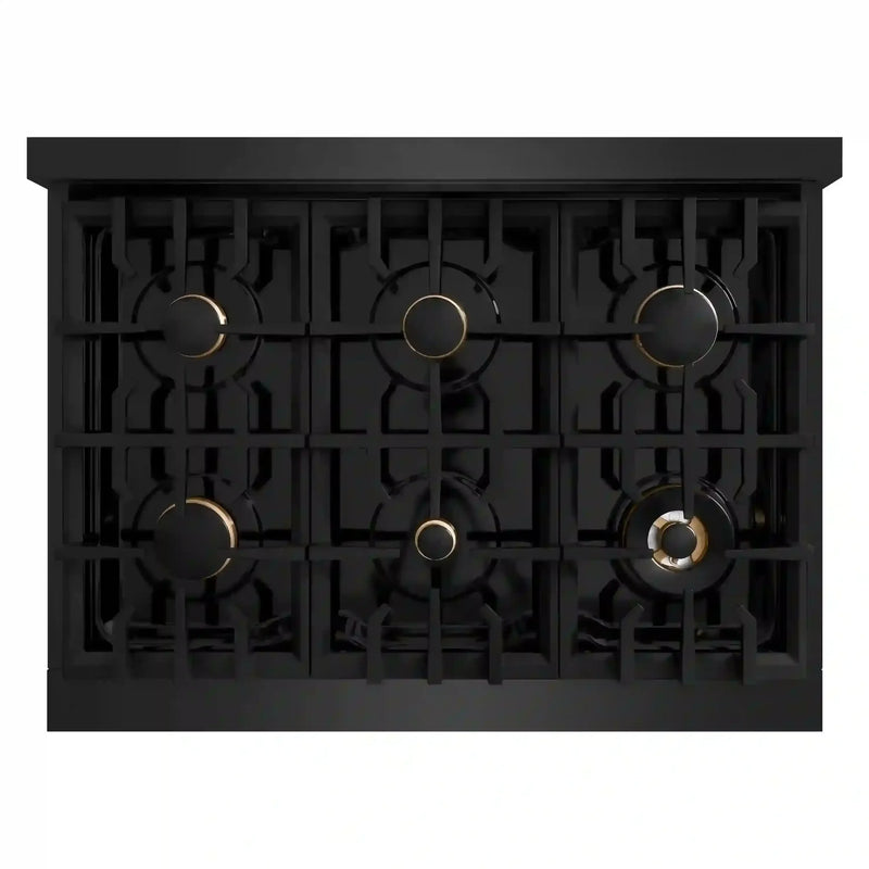 ZLINE 4-Piece Appliance Package - 36-Inch Gas Range, Hood, Refrigerator with Water Dispenser, and Dishwasher in Black Stainless Steel with Gold Accents