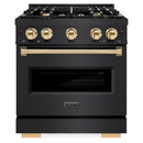 ZLINE 4-Piece Appliance Package - 30-Inch Dual Fuel Range, Hood, Refrigerator with Water Dispenser, and Dishwasher in Black Stainless Steel with Gold Accents