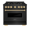ZLINE Autograph Edition 36-Inch Classic Series Dual Fuel Range with 6 Gas Burner Cooktop and 5.2 Cu. Ft. Electric Convection Oven in Black Stainless Steel with Polished Gold Accents (CDRBZ-36-G)