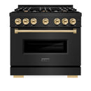 ZLINE 3-Piece Appliance Package - 36-Inch Dual Fuel Range, Refrigerator with Water Dispenser, and Dishwasher in Black Stainless Steel with Gold Accents