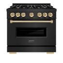 ZLINE 4-Piece Appliance Package - 36-Inch Dual Fuel Range, Hood, Refrigerator, and Dishwasher in Black Stainless Steel with Gold Accents