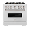 ZLINE 36-Inch Classic Series Dual Fuel Range with 6 Gas Burner Cooktop and 5.2 Cu. Ft. Electric Convection Oven in Satin Stainless Steel with Brass Burners (CDRS-BR-36)