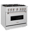 ZLINE 36-Inch Classic Series Dual Fuel Range with 6 Gas Burner Cooktop and 5.2 Cu. Ft. Electric Convection Oven in Satin Stainless Steel with Brass Burners (CDRS-BR-36)