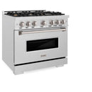 ZLINE 36-Inch Classic Series Gas Range with 6 Gas Burner Cooktop and 5.2 Cu. Ft. Gas Convection Oven in Satin Stainless Steel with Brass Burners (CGRS-BR-36)