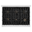 ZLINE 36-Inch Classic Series Gas Range with 6 Gas Burner Cooktop and 5.2 Cu. Ft. Gas Convection Oven in Satin Stainless Steel with Brass Burners (CGRS-BR-36)