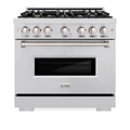 ZLINE 36-Inch Classic Series Gas Range with 6 Gas Burner Cooktop and 5.2 Cu. Ft. Gas Convection Oven in Stainless Steel with Brass Burners (CGR-BR-36)